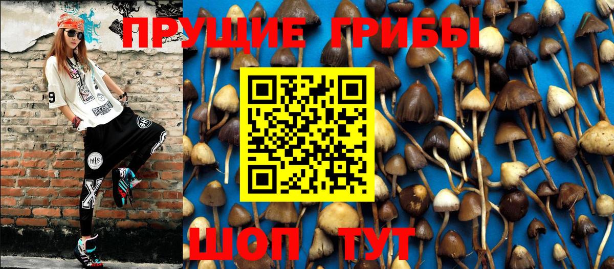 Кинешма  Галлюциногенные грибы Psilocybe  сколько стоит  Вход с VPN 